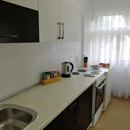 Apartment Musinbegovic1